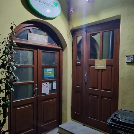 Liana Old Town Apartmán Kosice